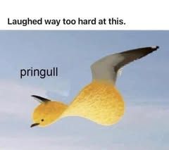 581082385_24944376421851176_2583838273044636833_n.jpg