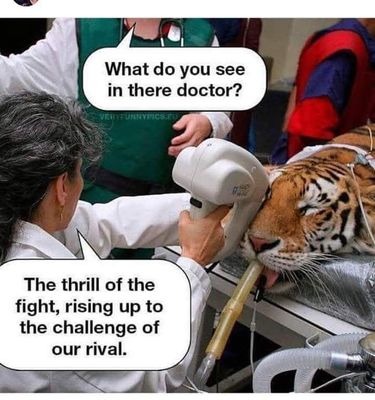 FB_IMG_1763190227673.jpg