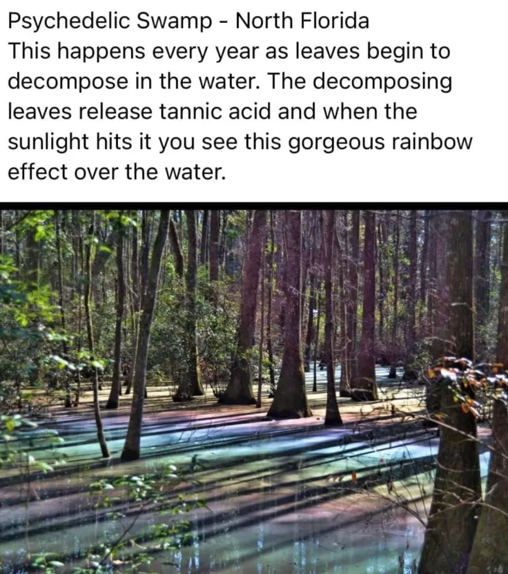 Screenshot 2025-12-19 163245.png