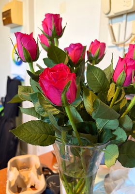 IMG_0110.jpeg