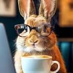 Bunniekins_0-1778355163593.jpeg