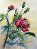 red Rose L Holberg.jpeg