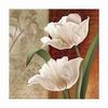 tulip40.jpg