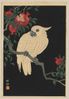 Ohara_Koson_07 Cockie.jpg