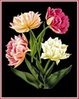 botanicals1.jpg