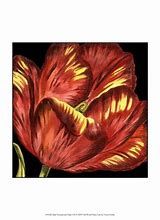 tulip22.jpg