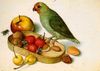 Georg_Flegel_still life with Pygmy Parrot.jpeg