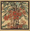 Margaret Preston Wheelflowers