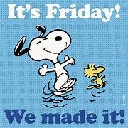 Yippee!