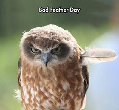 Grump - grump - grumpity - grump