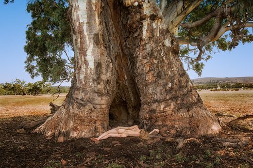 Natural Nooks for the Nice & Needy