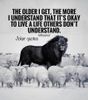 lionamongsheep.jpg
